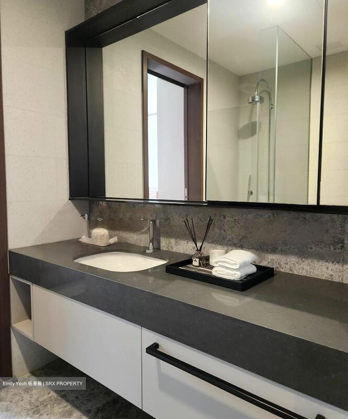 Parksuites (D10), Apartment #482528331